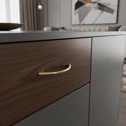 Plastová úchytka ASTOR / Zlatá