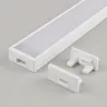 Biela