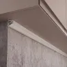 Biela