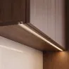 Transparent