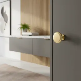 Úchytka knopka RANIA / Zlatá brúsená