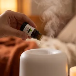 Sada 6ks vonných olejov do aróma difúzorov / 10 ml