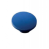 Modrá perlička
